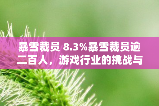 暴雪裁员 8.3%暴雪裁员逾二百人，游戏行业的挑战与未来展望