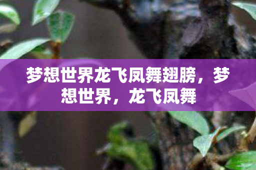 梦想世界龙飞凤舞翅膀，梦想世界，龙飞凤舞