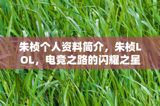 朱桢个人资料简介，朱桢LOL，电竞之路的闪耀之星