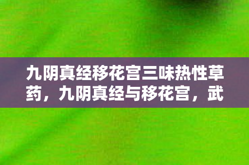 九阴真经移花宫三味热性草药，九阴真经与移花宫，武侠世界中的神秘之地