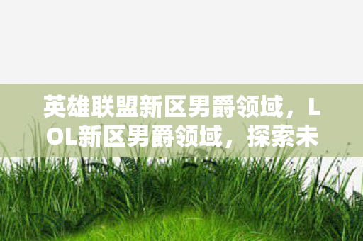 英雄联盟新区男爵领域，LOL新区男爵领域，探索未知，启程新征程