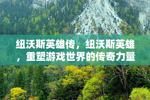 纽沃斯英雄传，纽沃斯英雄，重塑游戏世界的传奇力量