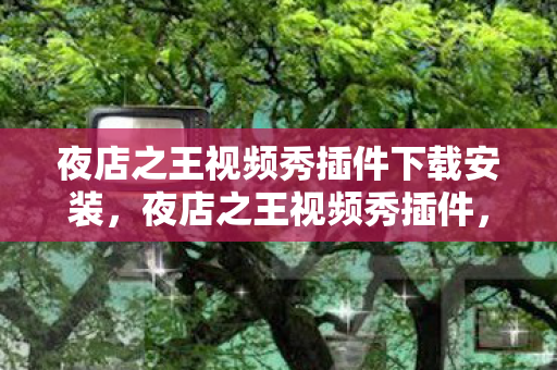 夜店之王视频秀插件下载安装，夜店之王视频秀插件，打造炫酷娱乐体验的新利器