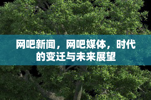 网吧新闻，网吧媒体，时代的变迁与未来展望