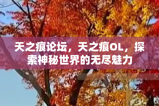 天之痕论坛，天之痕OL，探索神秘世界的无尽魅力