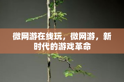 微网游在线玩，微网游，新时代的游戏革命