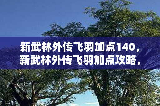 新武林外传飞羽加点140，新武林外传飞羽加点攻略，技能分配与角色发展策略