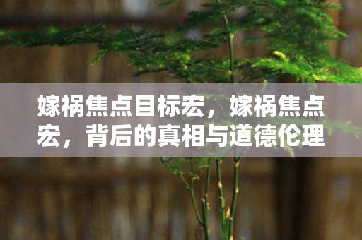 嫁祸焦点目标宏，嫁祸焦点宏，背后的真相与道德伦理的探讨