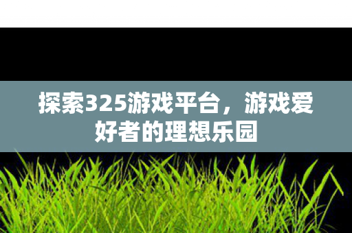 探索325游戏平台，游戏爱好者的理想乐园