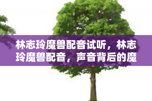 林志玲魔兽配音试听，林志玲魔兽配音，声音背后的魔法世界