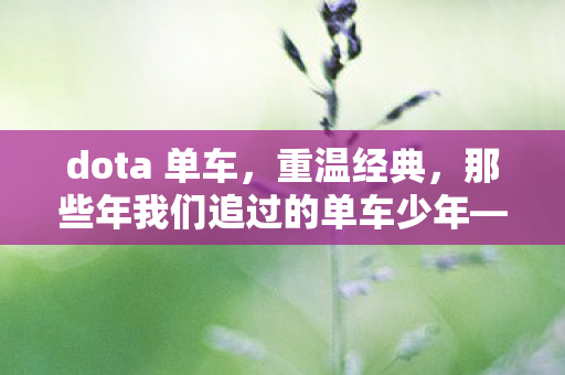 dota 单车，重温经典，那些年我们追过的单车少年—Dota中的单车照片故事