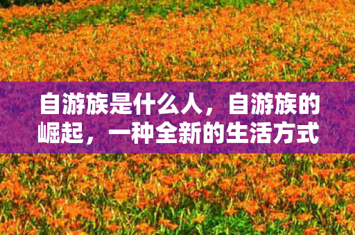 自游族是什么人，自游族的崛起，一种全新的生活方式