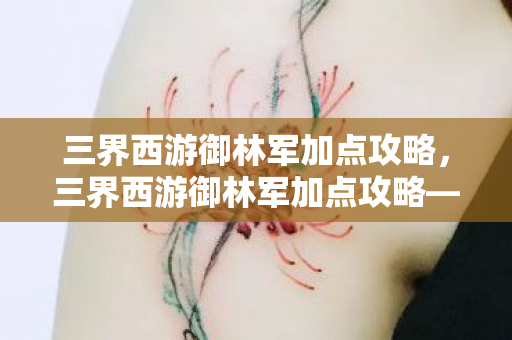 三界西游御林军加点攻略，三界西游御林军加点攻略—打造无敌战斗机器