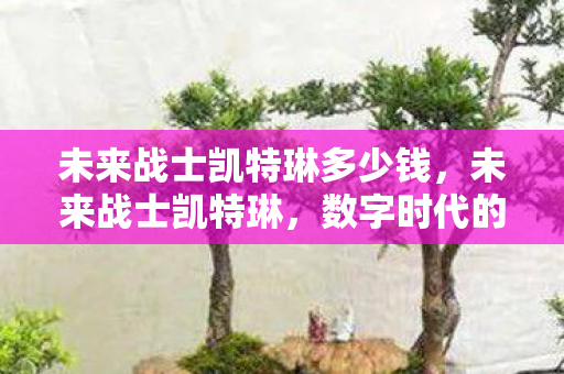 未来战士凯特琳多少钱，未来战士凯特琳，数字时代的先锋战士