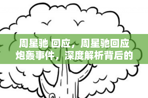 周星驰 回应，周星驰回应炮轰事件，深度解析背后的真相