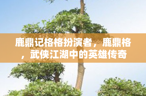 鹿鼎记格格扮演者，鹿鼎格，武侠江湖中的英雄传奇