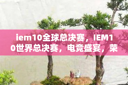 iem10全球总决赛，IEM10世界总决赛，电竞盛宴，荣耀之巅