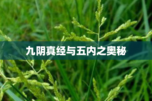 九阴真经与五内之奥秘