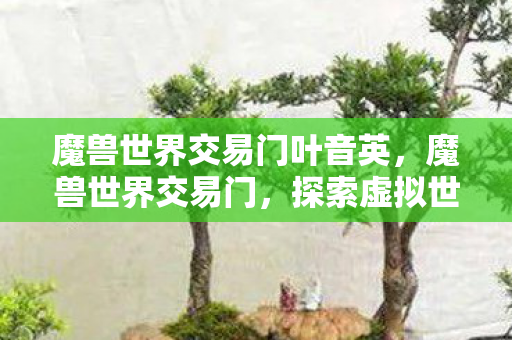 魔兽世界交易门叶音英，魔兽世界交易门，探索虚拟世界的经济奥秘