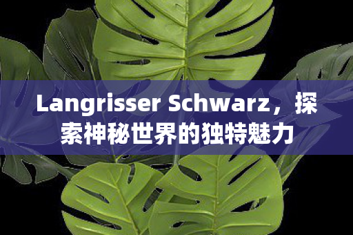 Langrisser Schwarz，探索神秘世界的独特魅力
