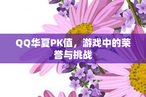 QQ华夏PK值，游戏中的荣誉与挑战