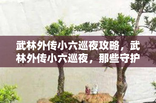 武林外传小六巡夜攻略，武林外传小六巡夜，那些守护安宁的夜晚