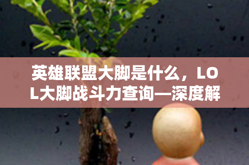 英雄联盟大脚是什么，LOL大脚战斗力查询—深度解析与实战指南