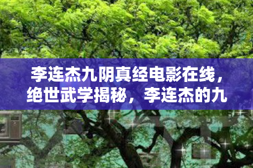 李连杰九阴真经电影在线，绝世武学揭秘，李连杰的九阴真经传奇