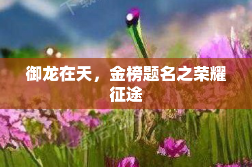 御龙在天，金榜题名之荣耀征途