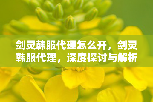 剑灵韩服代理怎么开，剑灵韩服代理，深度探讨与解析