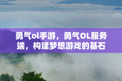 勇气ol手游，勇气OL服务端，构建梦想游戏的基石
