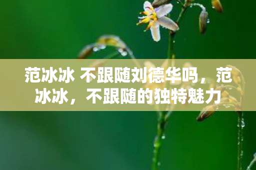 范冰冰 不跟随刘德华吗，范冰冰，不跟随的独特魅力