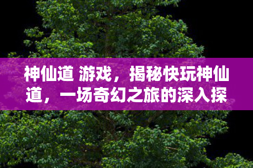 神仙道 游戏，揭秘快玩神仙道，一场奇幻之旅的深入探索