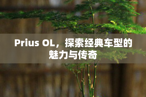 Prius OL，探索经典车型的魅力与传奇
