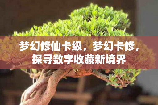 梦幻修仙卡级，梦幻卡修，探寻数字收藏新境界
