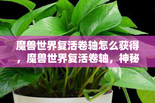 魔兽世界复活卷轴怎么获得，魔兽世界复活卷轴，神秘道具背后的故事与真相揭秘