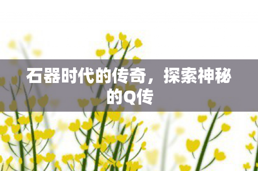 石器时代的传奇，探索神秘的Q传