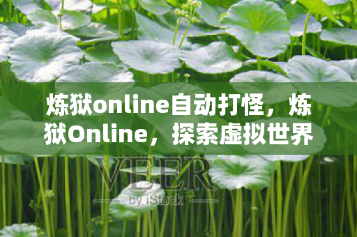 炼狱online自动打怪，炼狱Online，探索虚拟世界的无尽挑战与机遇