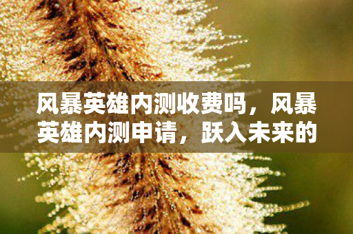 风暴英雄内测收费吗，风暴英雄内测申请，跃入未来的战场