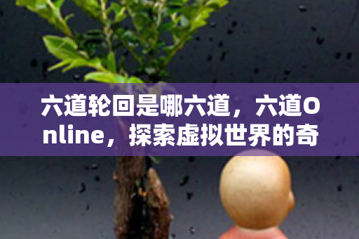 六道轮回是哪六道，六道Online，探索虚拟世界的奇幻之旅