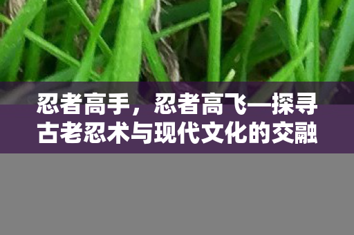 忍者高手，忍者高飞—探寻古老忍术与现代文化的交融之美