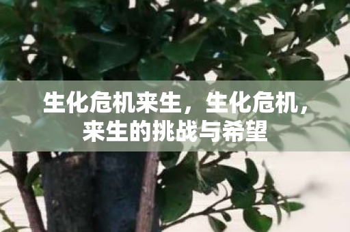 生化危机来生，生化危机，来生的挑战与希望