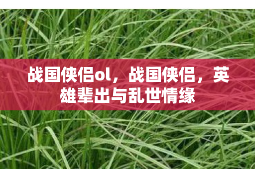 战国侠侣ol，战国侠侣，英雄辈出与乱世情缘