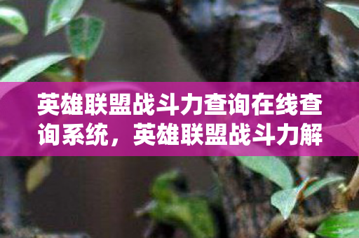 英雄联盟战斗力查询在线查询系统，英雄联盟战斗力解析，深入了解你的战斗能力