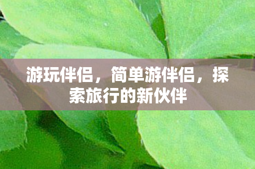 游玩伴侣，简单游伴侣，探索旅行的新伙伴