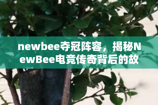 newbee夺冠阵容，揭秘NewBee电竞传奇背后的故事，勇夺冠军之路的艰辛与辉煌