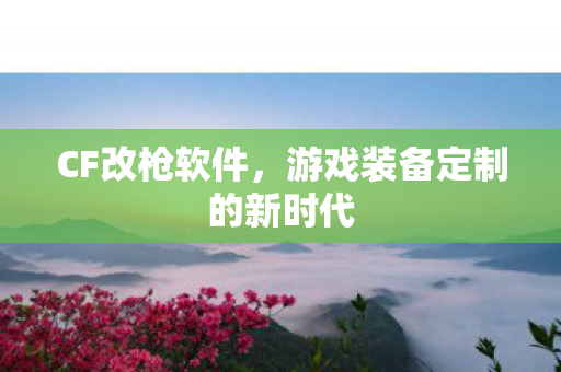 CF改枪软件，游戏装备定制的新时代