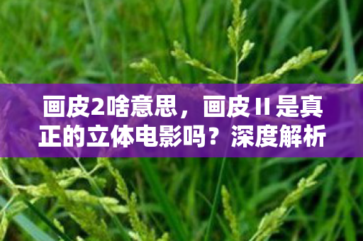 画皮2啥意思，画皮Ⅱ是真正的立体电影吗？深度解析其制作与技术特点