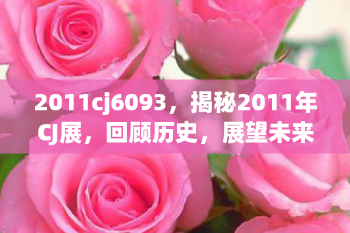 2011cj6093，揭秘2011年CJ展，回顾历史，展望未来