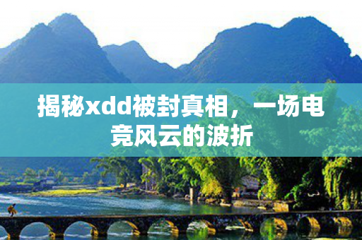 揭秘xdd被封真相，一场电竞风云的波折